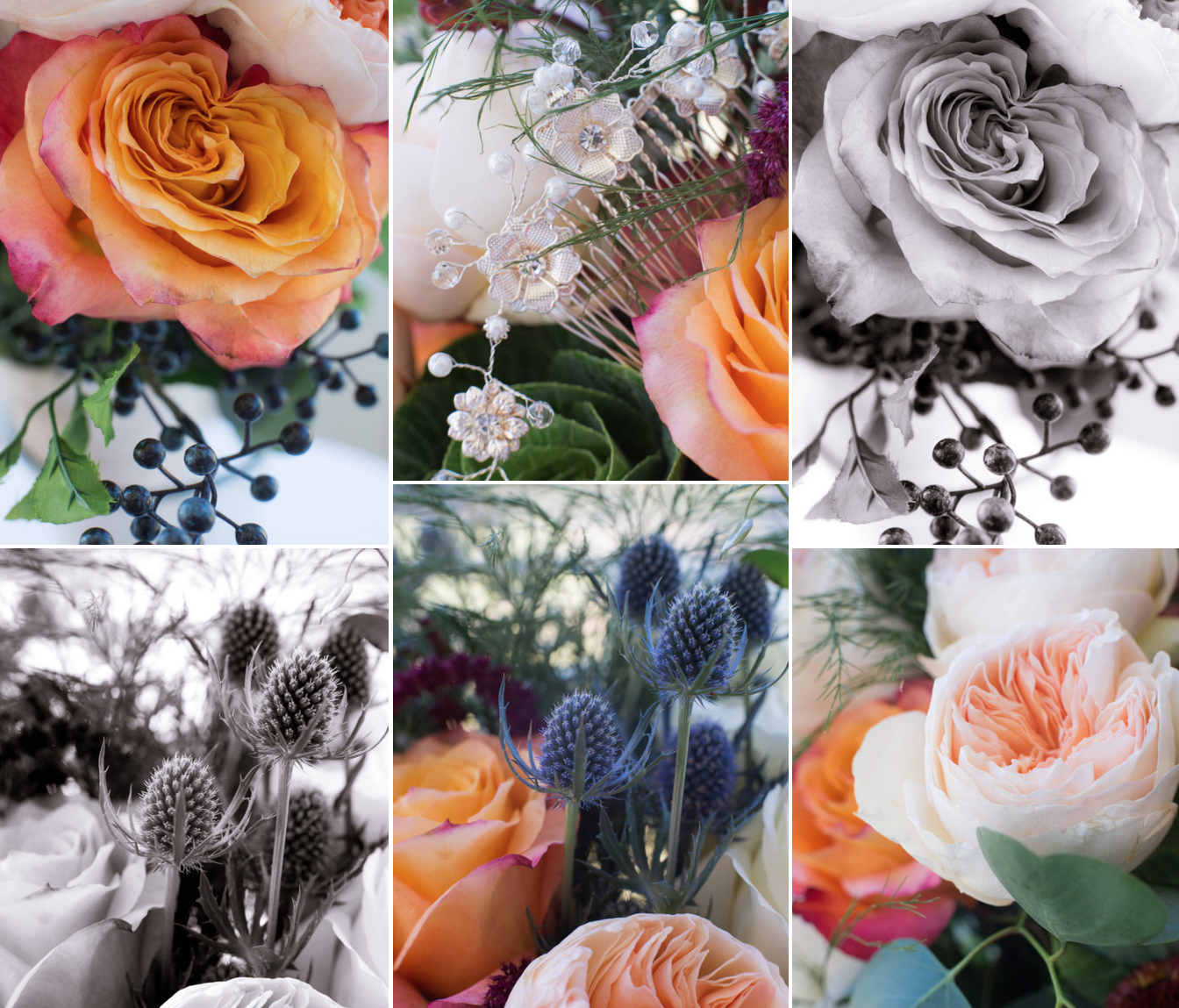 Screen Shot 2018-02-06 at 10.03.44 AM.png