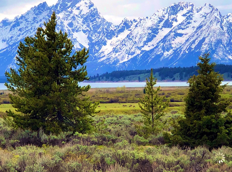 teton2